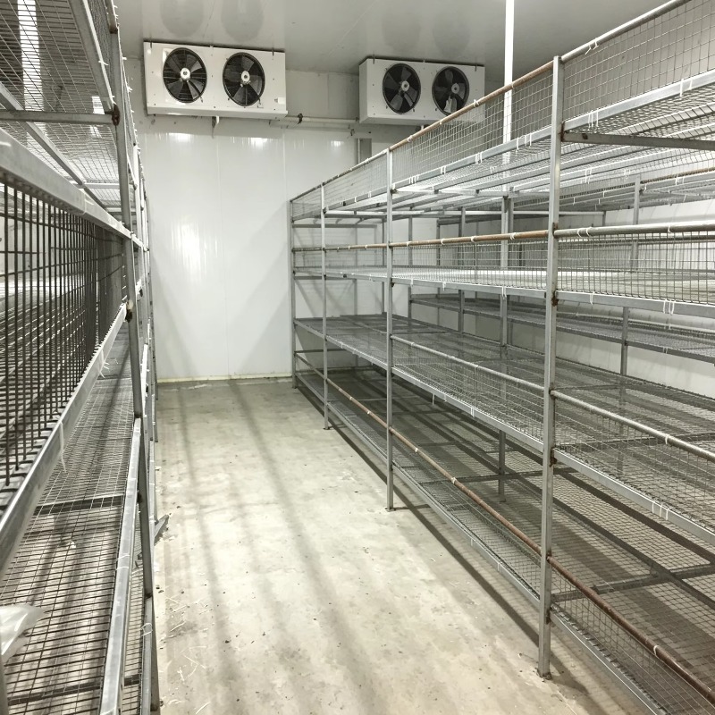 실내 농업 도시 농업용 자동 관개 시스템을 갖춘 수경  - Urban Farming Projects 리뷰 및 가격